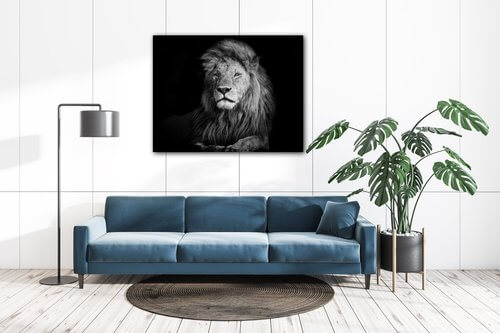 Kép Lion black and white - 90 x 70 cm
