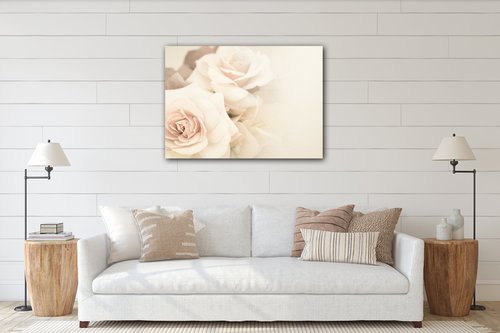 Kép White roses - 70 x 50 cm