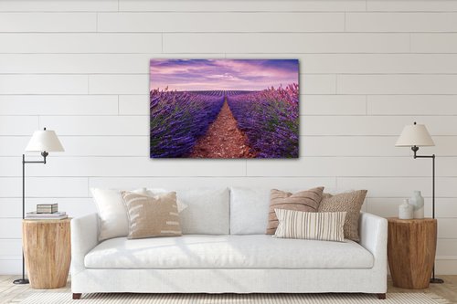 Kép Lavender field - 90 x 60 cm