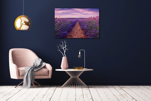 Kép Lavender field - 90 x 60 cm