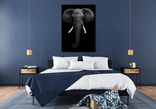 Kép Elephant dark - 50 x 70 cm