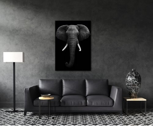 Kép Elephant dark - 50 x 70 cm