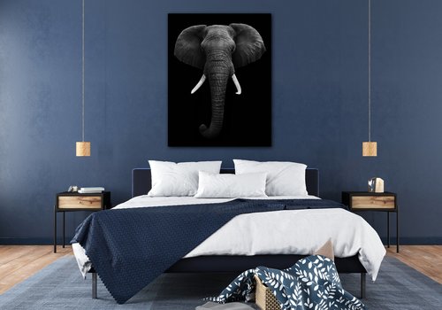 Kép Elephant dark - 70 x 90 cm