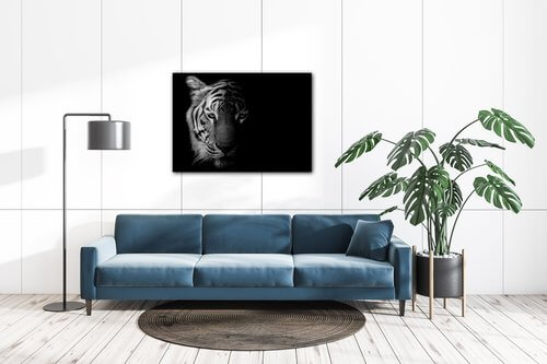 Kép Tiger black and white - 70 x 50 cm