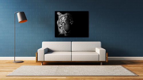 Kép Tiger black and white - 90 x 70 cm
