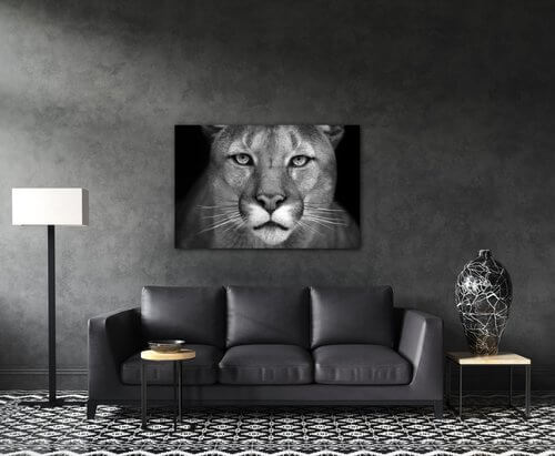 Kép Beast - 60 x 40 cm