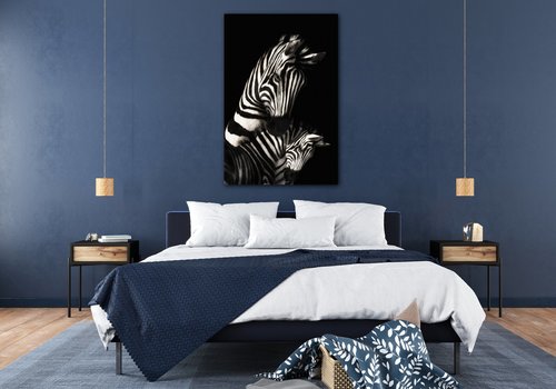 Kép Zebras black and white - 60 x 90 cm