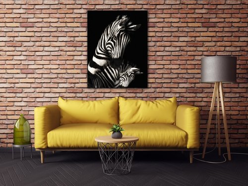 Kép Zebras black and white - 70 x 90 cm