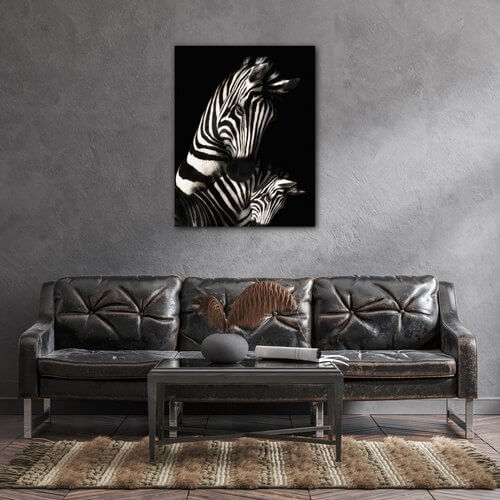 Kép Zebras black and white - 70 x 90 cm