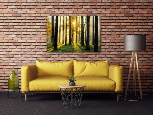 Kép Trees and sunshine - 90 x 60 cm