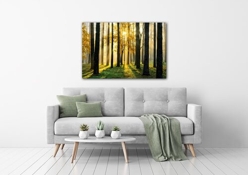Kép Trees and sunshine - 90 x 60 cm