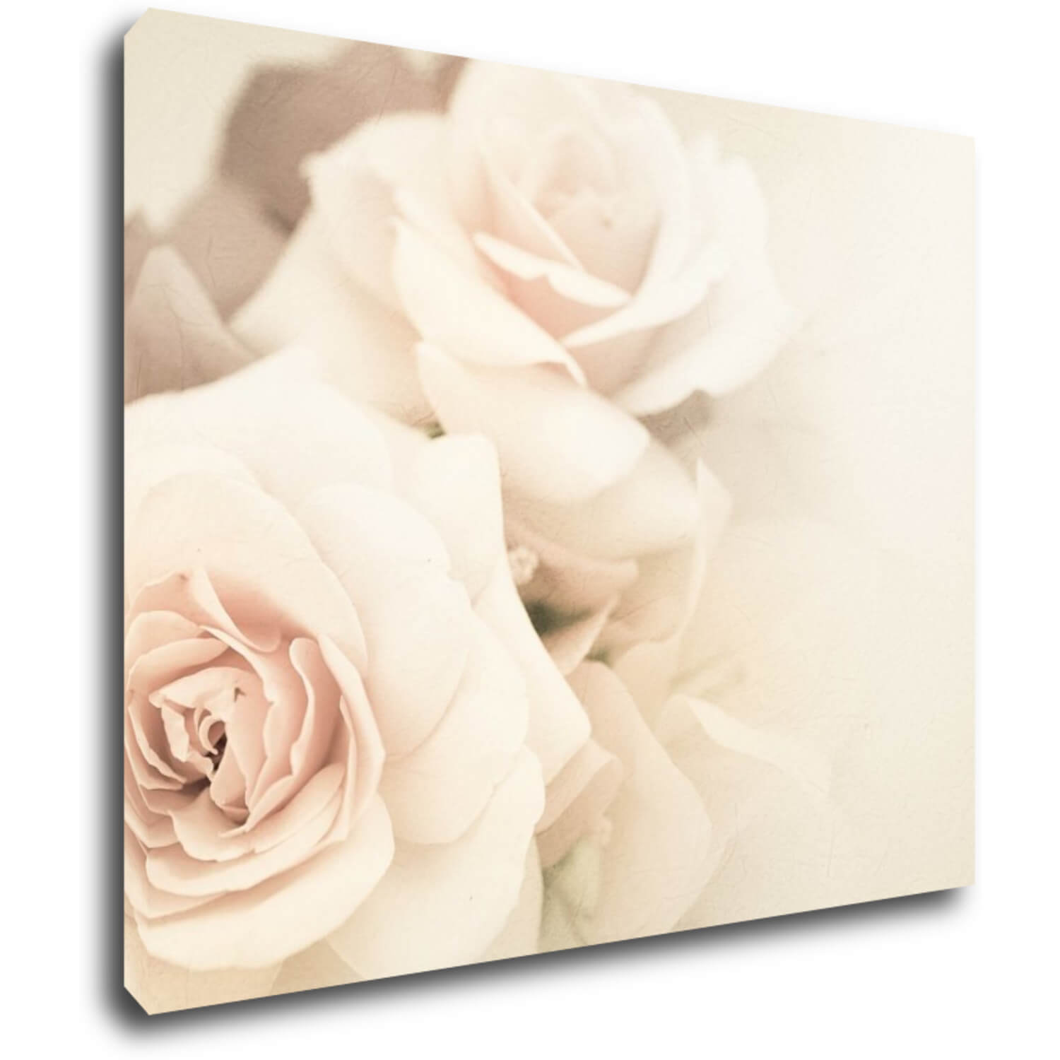 Kép White roses - 90 x 70 cm