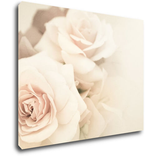 Kép White roses - 90 x 70 cm