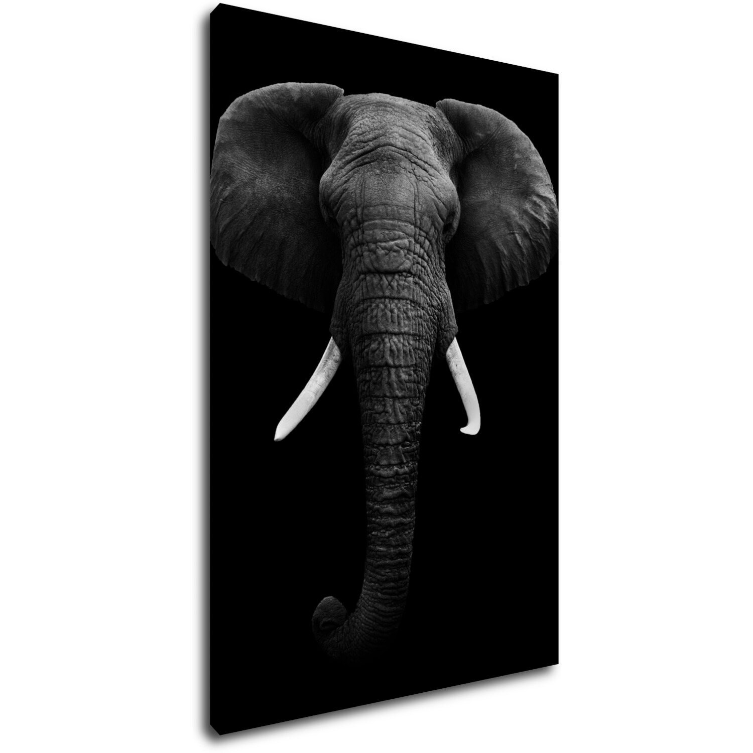 Kép Elephant dark - 60 x 90 cm