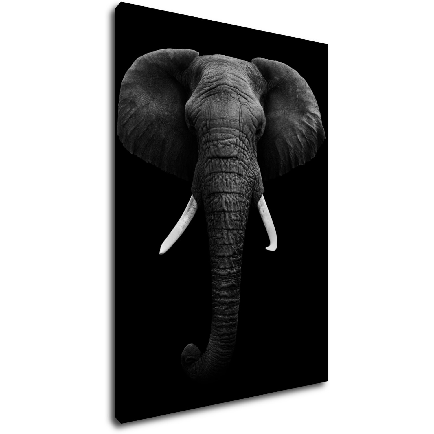 Kép Elephant dark - 50 x 70 cm