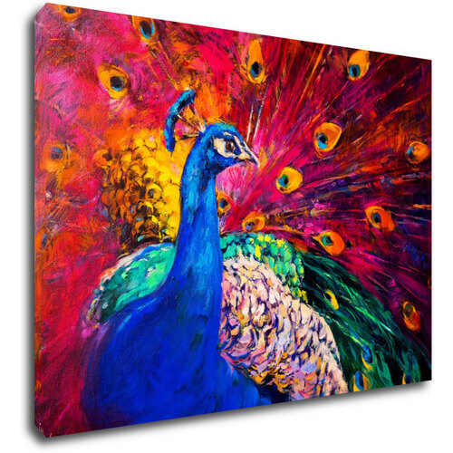 Kép Colorful Peacock - 70 x 50 cm
