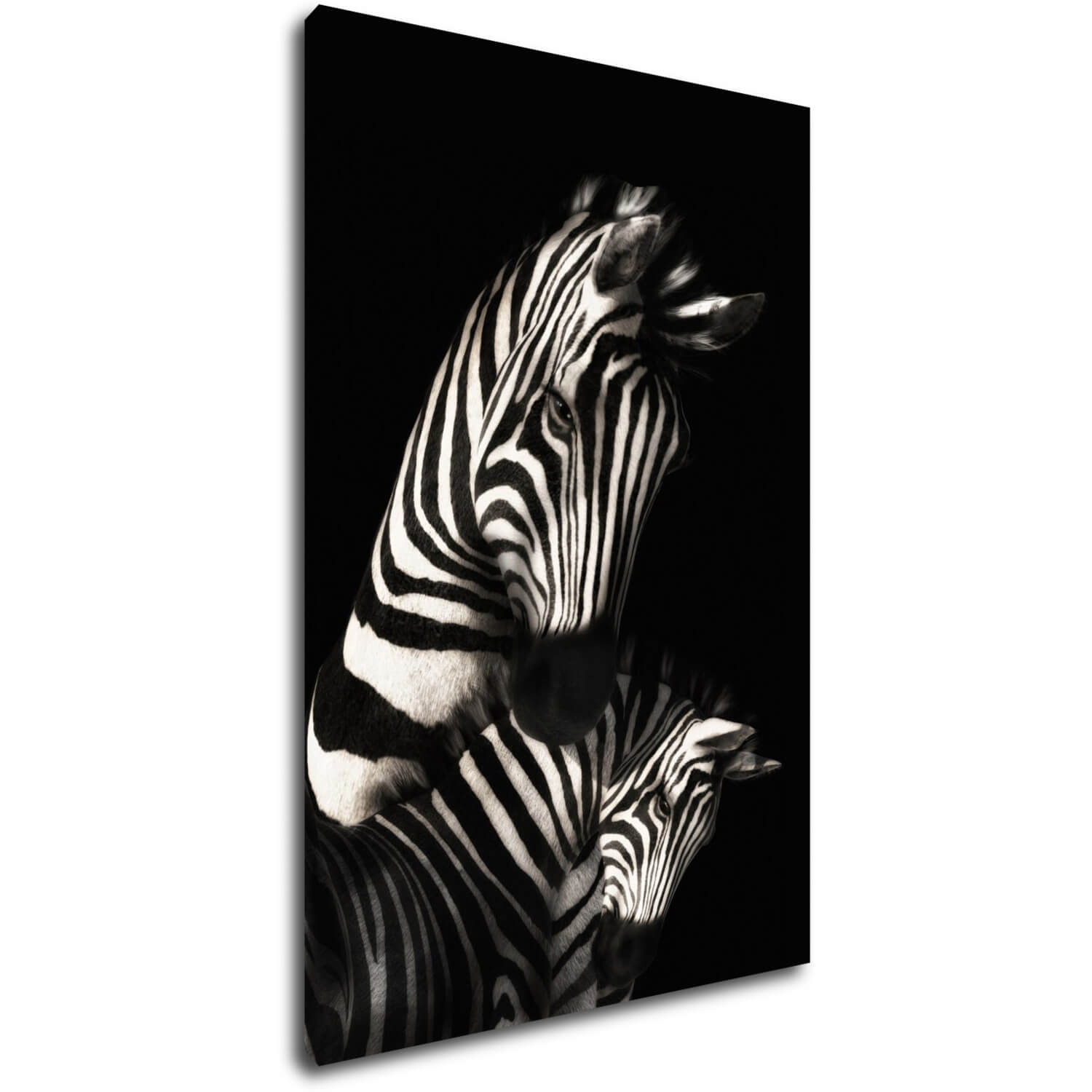 Kép Zebras black and white - 60 x 90 cm