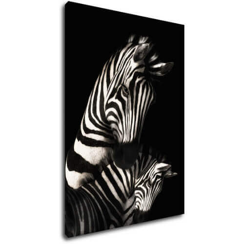 Kép Zebras black and white - 50 x 70 cm