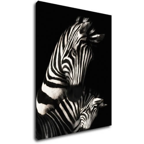 Kép Zebras black and white - 70 x 90 cm